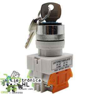INTERRUPTOR CON LLAVE 2 POCISIONES, 10A, 1NO 1NC